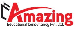 Amazing Education Consultancy logo